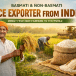 Reliable Basmati & Non-Basmati Rice Exporter from India – RRN Agro Export LLP